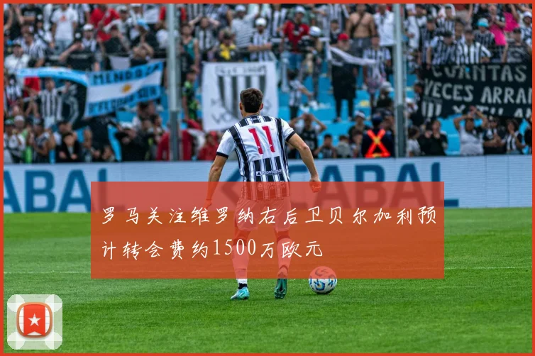 罗马关注维罗纳右后卫贝尔加利预计转会费约1500万欧元