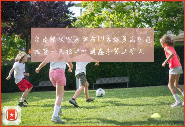 定南赣联官方宣布19名球员离队包括董一凡杨帆叶道鑫李苏达等人