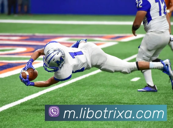 App Interface Preview